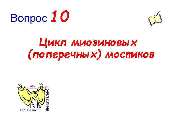 Вопрос 10 Цикл миозиновых (поперечных) мостиков 