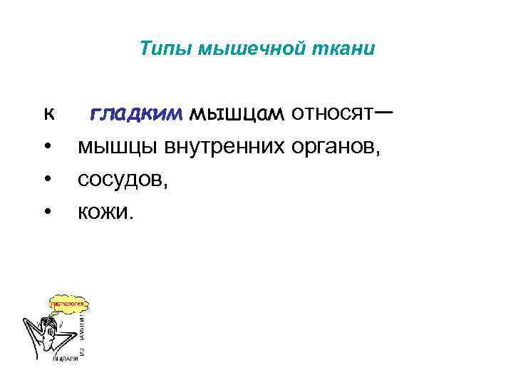 Типы мышечной ткани к • • • гладким мышцам относят— мышцы внутренних органов, сосудов,