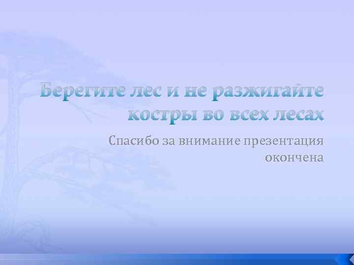 Берегите лес и не разжигайте костры во всех лесах Спасибо за внимание презентация окончена