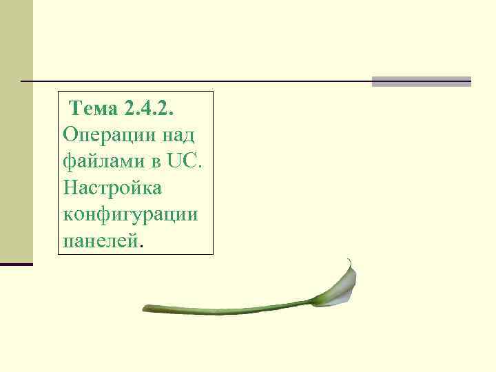 Тема 2. 4. 2. Операции над файлами в UC. Настройка конфигурации панелей. 