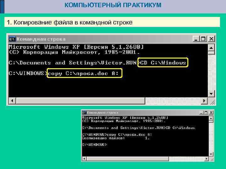 КОМПЬЮТЕРНЫЙ ПРАКТИКУМ 1. Копирование файла в командной строке 