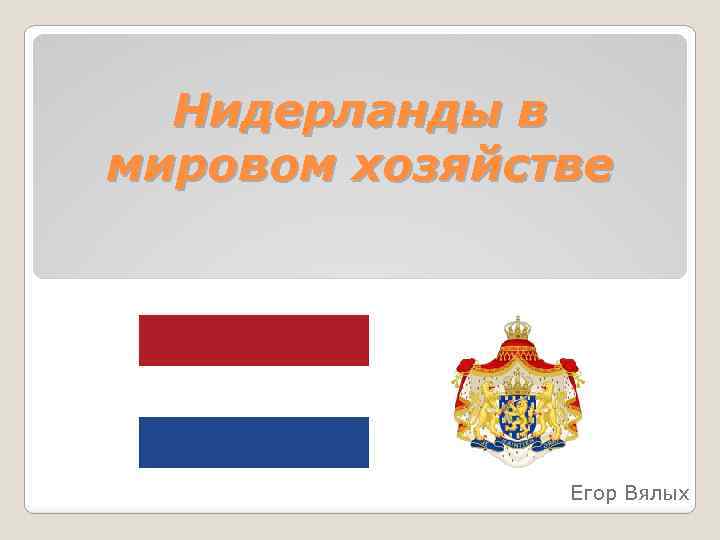 Нидерланды в мировом хозяйстве Егор Вялых 
