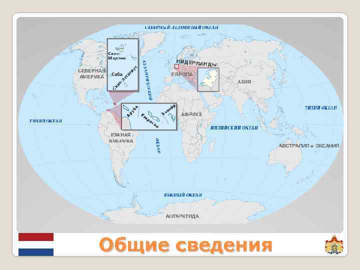 Общие сведения 