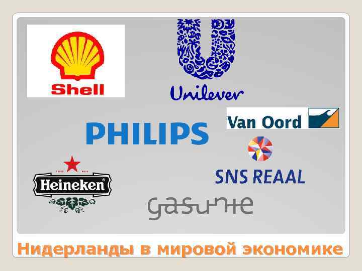 Нидерланды в мировой экономике 