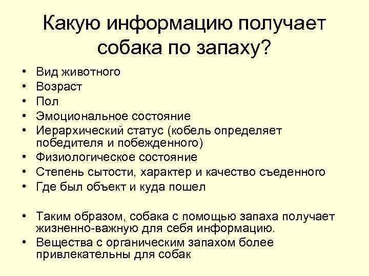 Какую информацию получает собака по запаху? • • • Вид животного Возраст Пол Эмоциональное