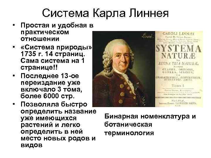 Система Карла Линнея • Простая и удобная в практическом отношении • «Система природы» 1735