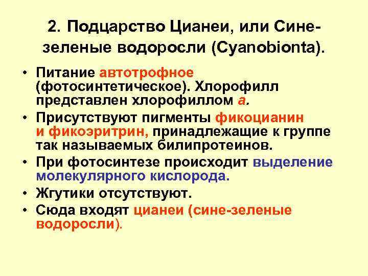 2. Подцарство Цианеи, или Синезеленые водоросли (Cyanobionta). • Питание автотрофное (фотосинтетическое). Хлорофилл представлен хлорофиллом