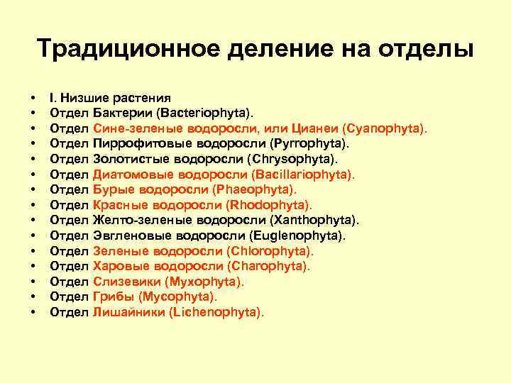 Традиционное деление на отделы • • • • I. Низшие растения Отдел Бактерии (Bacteriophyta).