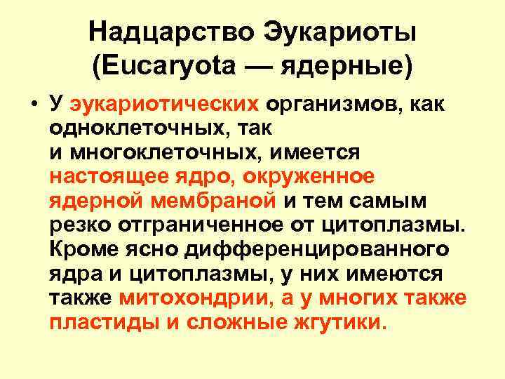 Надцарство Эукариоты (Eucaryota — ядерные) • У эукариотических организмов, как одноклеточных, так и многоклеточных,