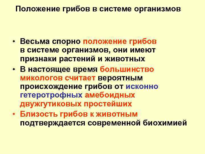 Положение грибов в системе организмов • Весьма спорно положение грибов в системе организмов, они