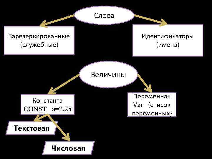 Слова Зарезервированные (служебные) Идентификаторы (имена) Величины Константа CONST a=2. 25 Текстовая Числовая Переменная Var