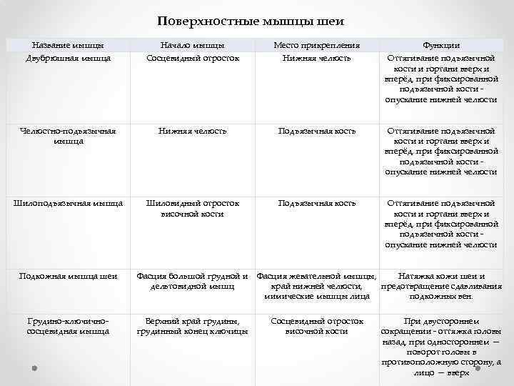 Поверхностные мышцы шеи Название мышцы Начало мышцы Место прикрепления Функции Двубрюшная мышца Сосцевидный отросток