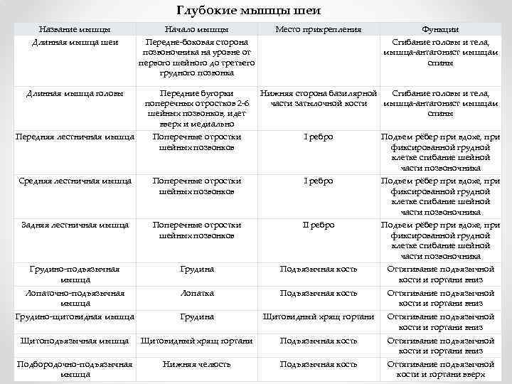 Глубокие мышцы шеи Название мышцы Начало мышцы Место прикрепления Функции Длинная мышца шеи Передне-боковая