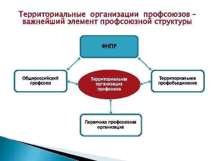 Территориальные организации профсоюзов – важнейший элемент профсоюзной структуры ФНПР Общероссийский профсоюз Территориальная организация профсоюза