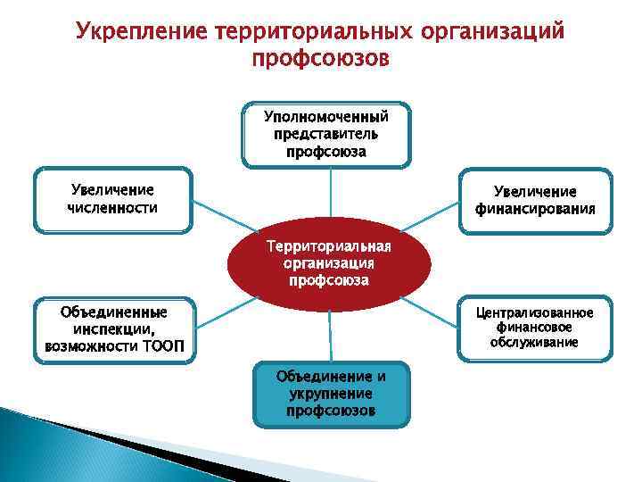 Укрепление территориальных организаций профсоюзов Уполномоченный представитель профсоюза Увеличение численности Увеличение финансирования Территориальная организация профсоюза