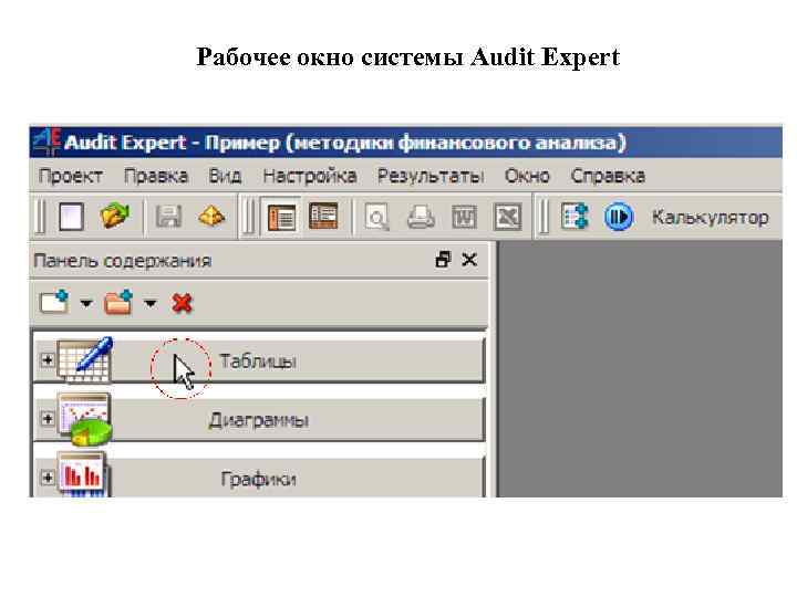 Рабочее окно системы Audit Expert 