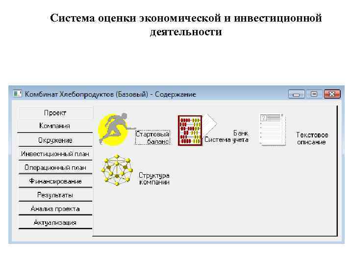 Система оценки экономической и инвестиционной деятельности 