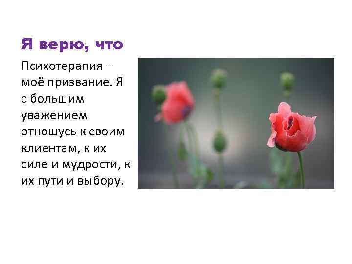 Я верю, что Психотерапия – моё призвание. Я с большим уважением отношусь к своим