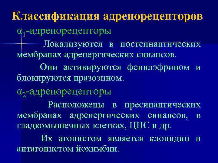 Классификация адренорецепторов α 1 -адренорецепторы Локализуются в постсинаптических мембранах адренергических синапсов. Они активируются фенилэфрином