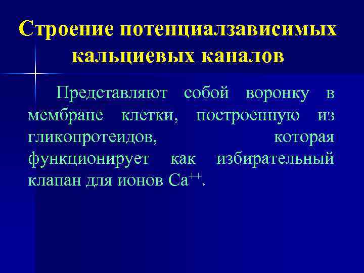 Строение потенциалзависимых кальциевых каналов Представляют собой воронку в мембране клетки, построенную из гликопротеидов, которая