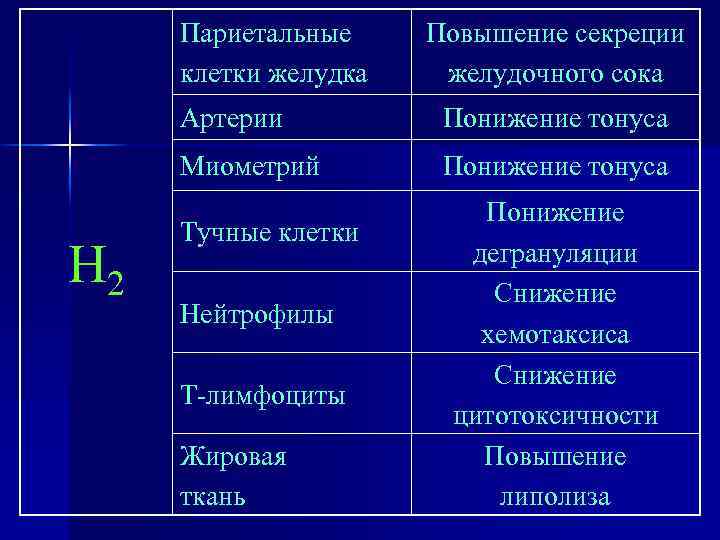 Париетальные клетки желудка Повышение секреции желудочного сока Артерии Миометрий Н 2 Понижение тонуса Тучные