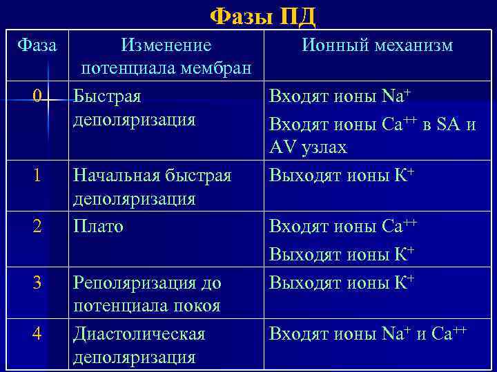 Фазы ПД Фаза 0 1 2 3 4 Изменение Ионный механизм потенциала мембран Быстрая