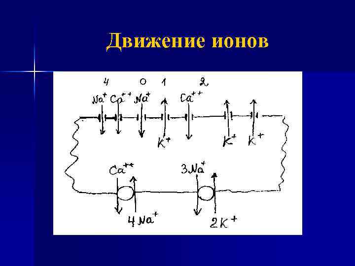 Движение ионов 