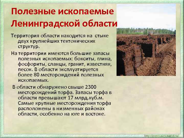 Возраст пород слагающих территорию