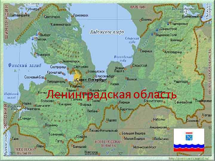 Ленинградская область 