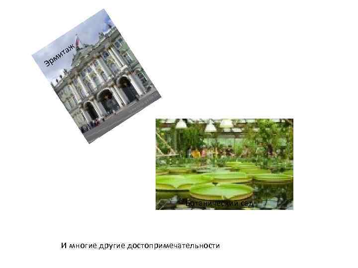 таж и м Эр Ботанический сад И многие другие достопримечательности 