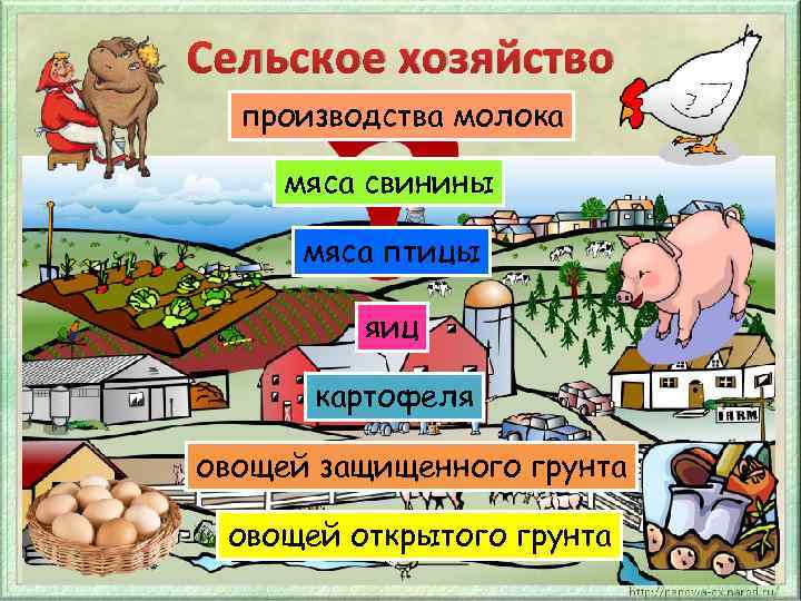 Сельское хозяйство производства молока мяса свинины мяса птицы яиц картофеля овощей защищенного грунта овощей