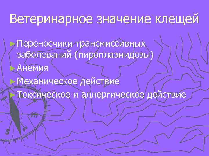 Ветеринарное значение клещей ► Переносчики трансмиссивных заболеваний (пироплазмидозы) ► Анемия ► Механическое действие ►