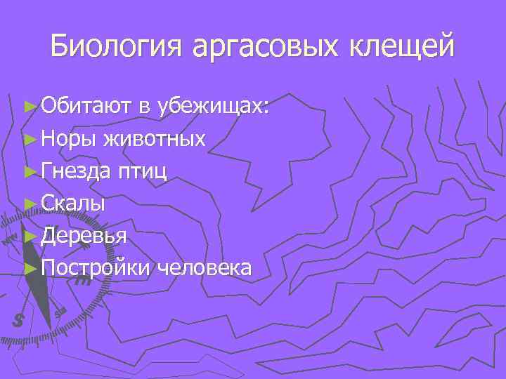 Биология аргасовых клещей ► Обитают в убежищах: ► Норы животных ► Гнезда птиц ►