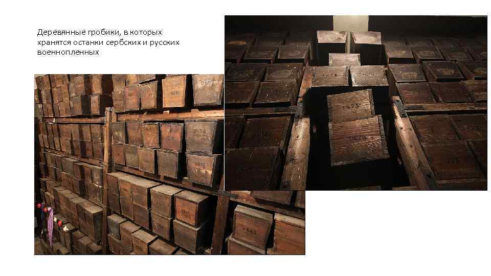 Деревянные гробики, в которых хранятся останки сербских и русских военнопленных 