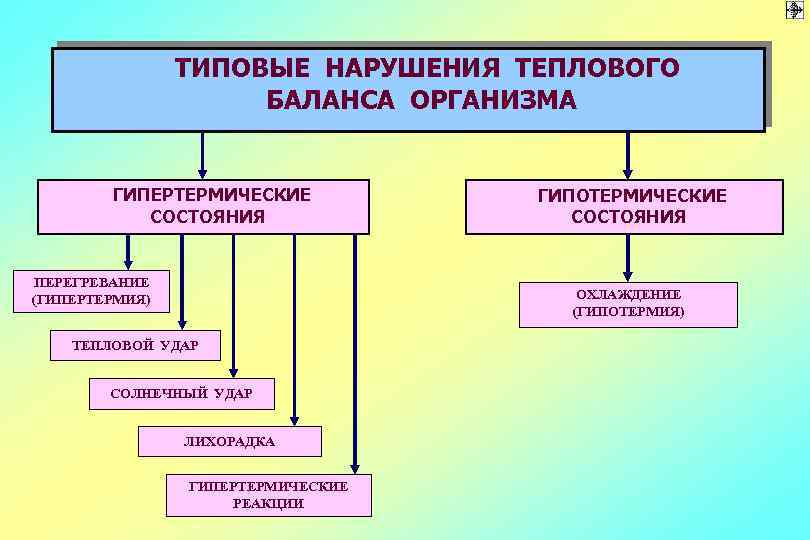 ТИПОВЫЕ НАРУШЕНИЯ ТЕПЛОВОГО БАЛАНСА ОРГАНИЗМА ГИПЕРТЕРМИЧЕСКИЕ СОСТОЯНИЯ ПЕРЕГРЕВАНИЕ (ГИПЕРТЕРМИЯ) ГИПОТЕРМИЧЕСКИЕ СОСТОЯНИЯ ОХЛАЖДЕНИЕ (ГИПОТЕРМИЯ) ТЕПЛОВОЙ