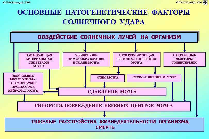 © П. Ф. Литвицкий, 2004 © ГЭОТАР-МЕД, 2004 ОСНОВНЫЕ ПАТОГЕНЕТИЧЕСКИЕ ФАКТОРЫ СОЛНЕЧНОГО УДАРА ВОЗДЕЙСТВИЕ