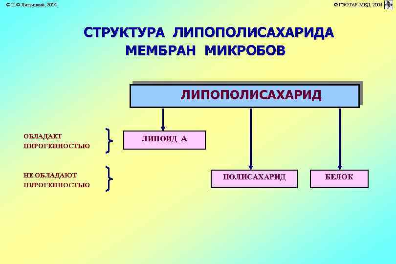 © П. Ф. Литвицкий, 2004 © ГЭОТАР-МЕД, 2004 СТРУКТУРА ЛИПОПОЛИСАХАРИДА МЕМБРАН МИКРОБОВ ЛИПОПОЛИСАХАРИД ОБЛАДАЕТ