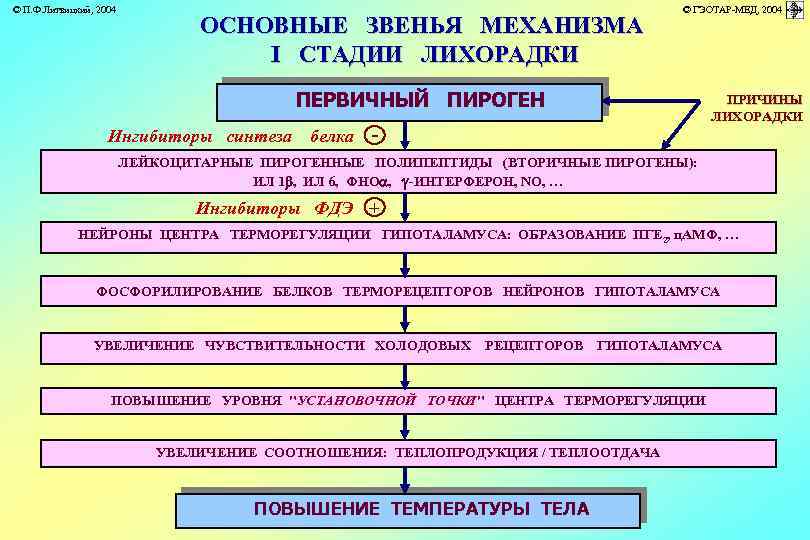© П. Ф. Литвицкий, 2004 © ГЭОТАР-МЕД, 2004 ОСНОВНЫЕ ЗВЕНЬЯ МЕХАНИЗМА I СТАДИИ ЛИХОРАДКИ
