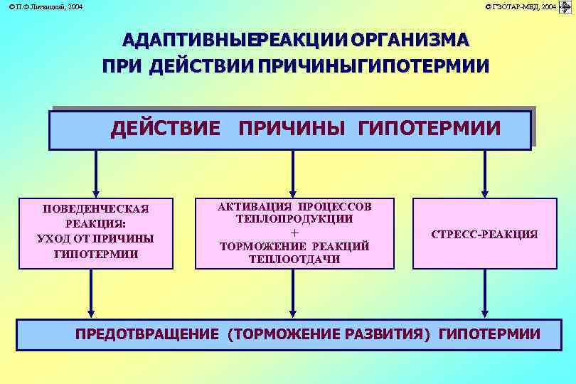 © П. Ф. Литвицкий, 2004 © ГЭОТАР-МЕД, 2004 АДАПТИВНЫЕРЕАКЦИИ ОРГАНИЗМА ПРИ ДЕЙСТВИИ ПРИЧИНЫГИПОТЕРМИИ ДЕЙСТВИЕ