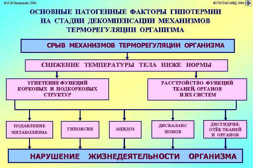 © П. Ф. Литвицкий, 2004 © ГЭОТАР-МЕД, 2004 ОСНОВНЫЕ ПАТОГЕННЫЕ ФАКТОРЫ ГИПОТЕРМИИ НА СТАДИИ