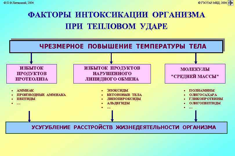 © П. Ф. Литвицкий, 2004 © ГЭОТАР-МЕД, 2004 ФАКТОРЫ ИНТОКСИКАЦИИ ОРГАНИЗМА ПРИ ТЕПЛОВОМ УДАРЕ