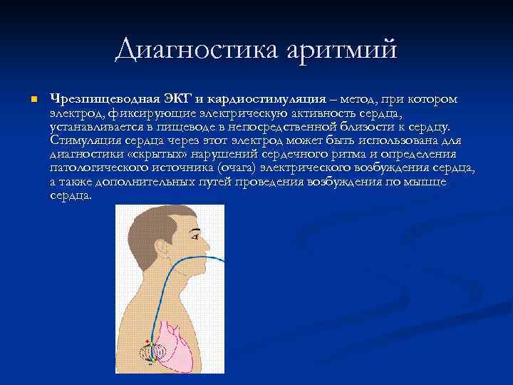 Проект по теме механика сердечного пульса