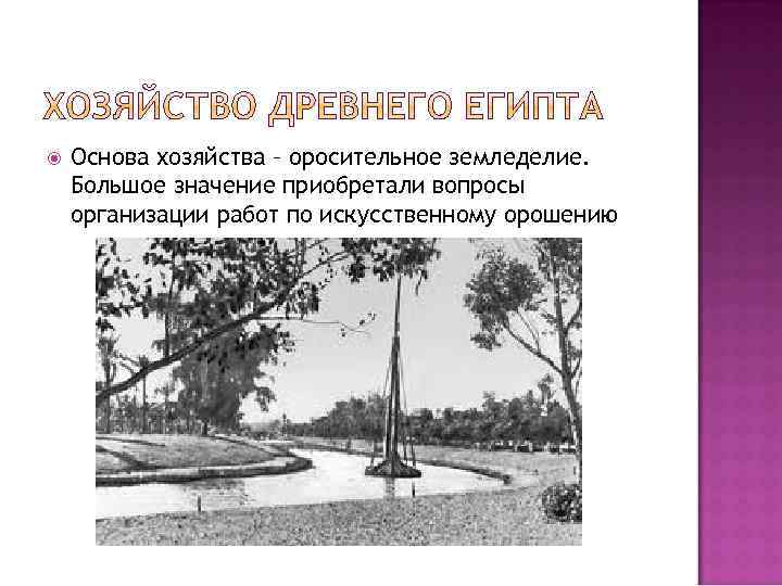  Основа хозяйства – оросительное земледелие. Большое значение приобретали вопросы организации работ по искусственному