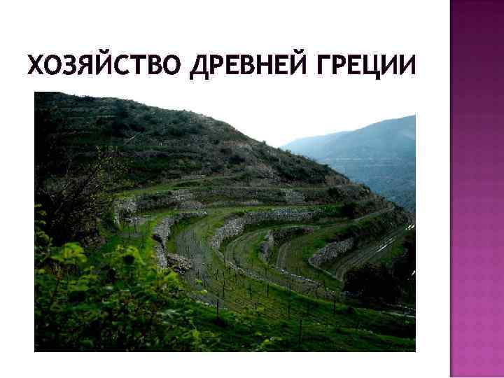 ХОЗЯЙСТВО ДРЕВНЕЙ ГРЕЦИИ 