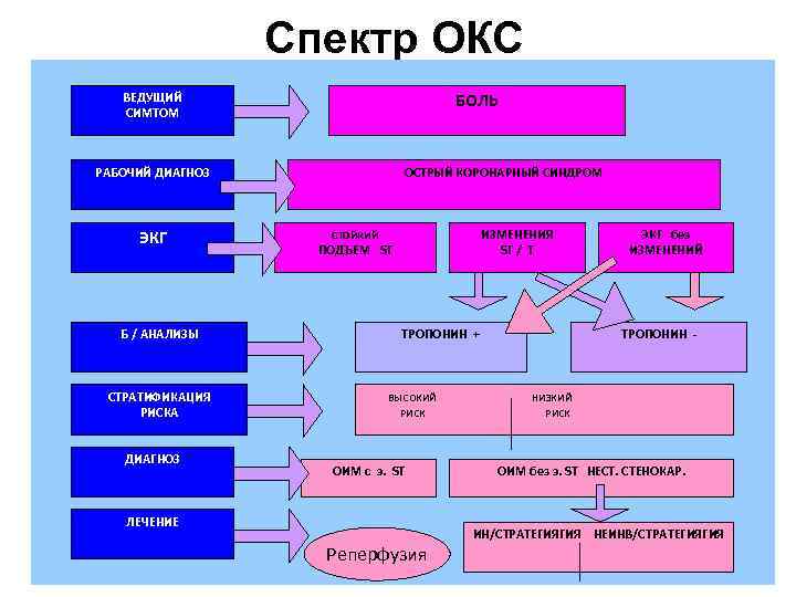 Спектр ОКС БОЛЬ ВЕДУЩИЙ СИМТОМ РАБОЧИЙ ДИАГНОЗ ЭКГ Б / АНАЛИЗЫ СТРАТИФИКАЦИЯ РИСКА ДИАГНОЗ