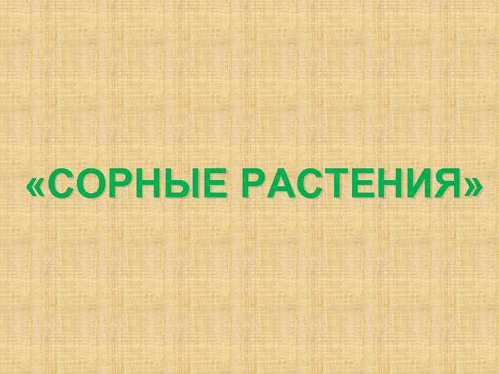  «СОРНЫЕ РАСТЕНИЯ» 