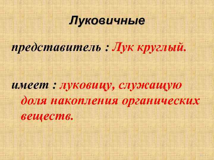 Луковичные представитель : Лук круглый. имеет : луковицу, служащую доля накопления органических веществ. 41