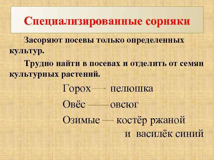 Специализированные сорняки Засоряют посевы только определенных культур. Трудно найти в посевах и отделить от