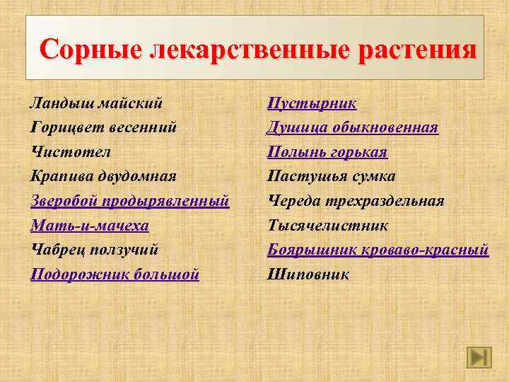 Сорные лекарственные растения Ландыш майский Горицвет весенний Чистотел Крапива двудомная Зверобой продырявленный Мать-и-мачеха Чабрец