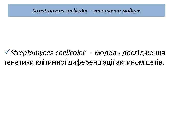 Streptomyces coelicolor - генетична модель üStreptomyces coelicolor - модель дослідження генетики клітинної диференціації актиноміцетів.